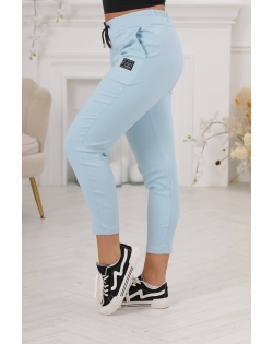 Джегінси 253